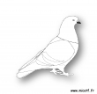 pigeon nb